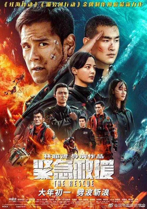 学历认证报告的报告编号在哪里